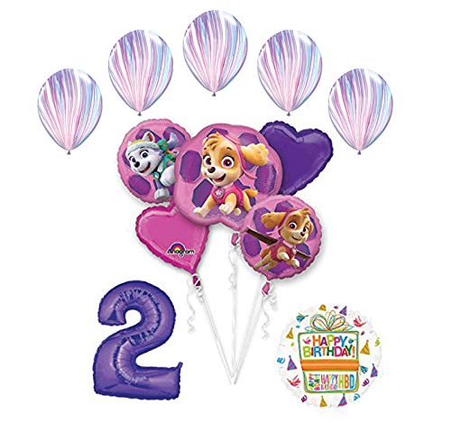 Skye and Everest 2nd Birthday Party Supplies and Balloon Bouquet Decorations