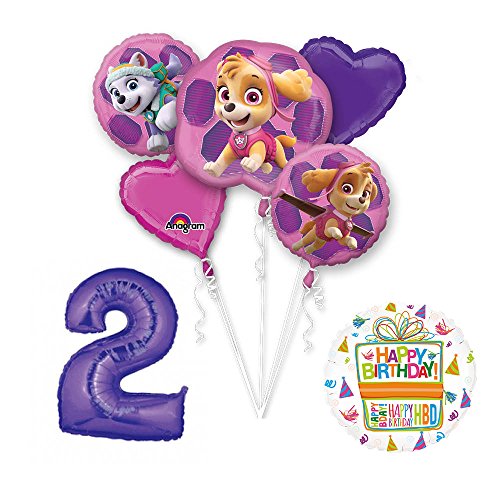 PAW PATROL SKYE & EVEREST 2nd Birthday Party Balloons Decoration Supplies Chase Ryder by Mayflower Products