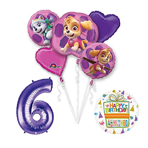 PAW PATROL SKYE & EVEREST 6th Birthday Party Balloons Decoration Supplies Chase Ryder