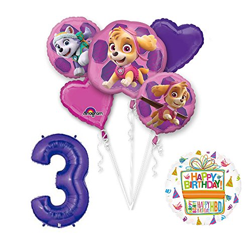PAW PATROL SKYE & EVEREST 3rd Birthday Party Balloons Decoration Supplies Chase Ryder by Mayflower Products